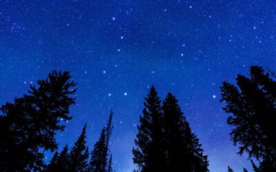 Finding Your North Star: The Role of Core Values in Authentic Leadership
